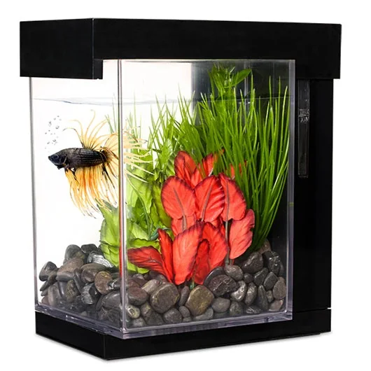 Bettera Marina EZ Care Style - 3,7L