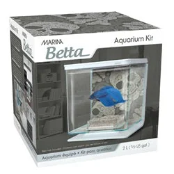 Betteras Marina - Imagen 2