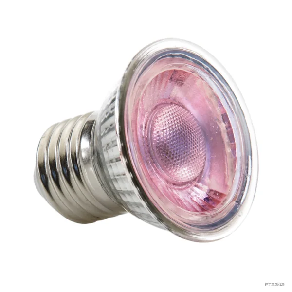 Bombilla Exo Terra Daylight LED Spot Nano - 5W