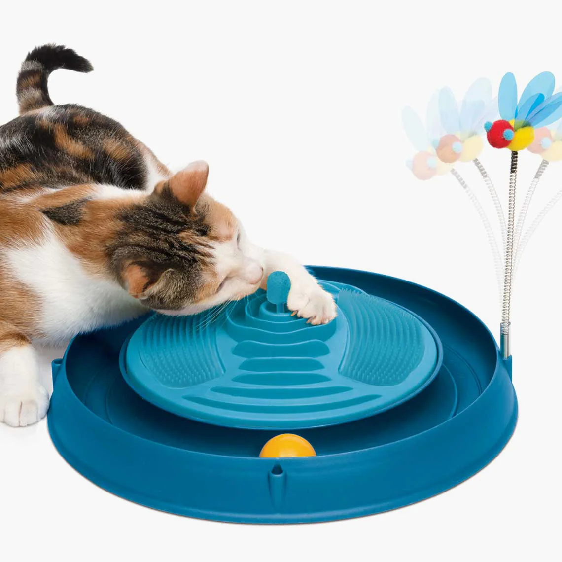 Circuito con pelota y masajeador de catnip - Imagen 2