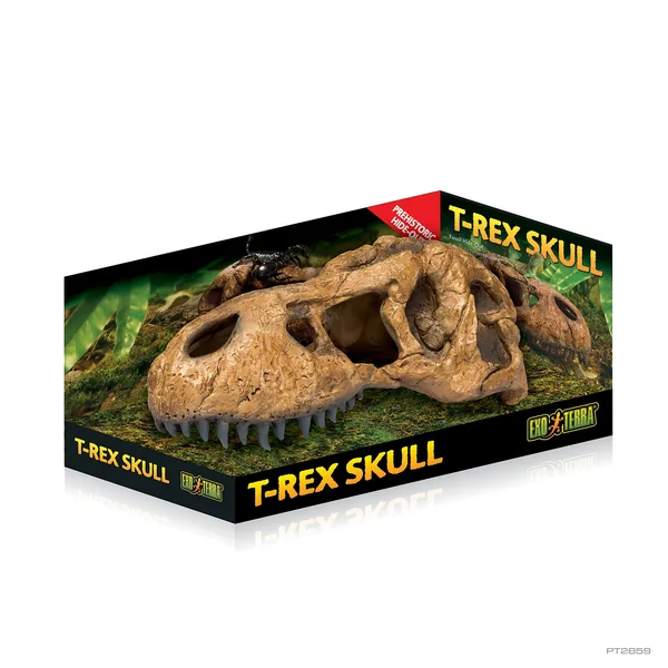 Exo Terra Craneo T-Rex