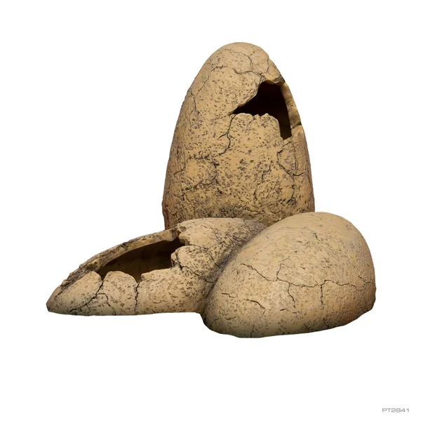 Exo Terra Cuevas Dinosaur Eggs