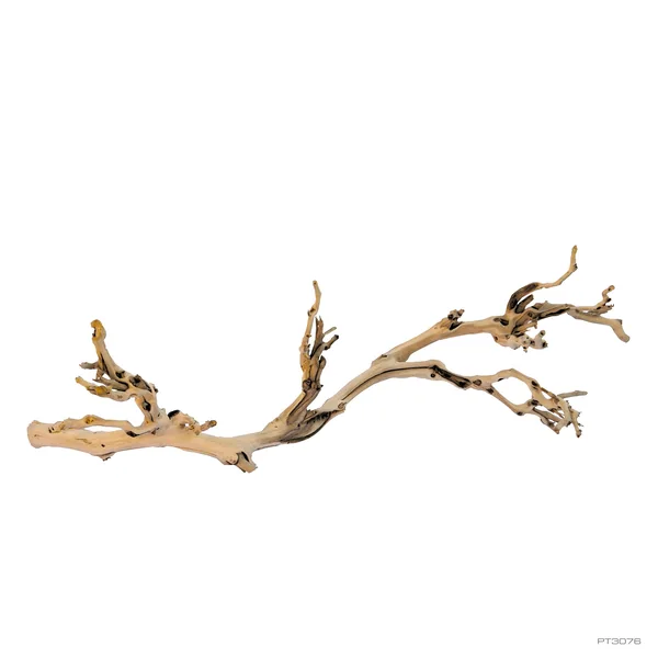 Exo Terra Forest Branch Gde. 60 cm