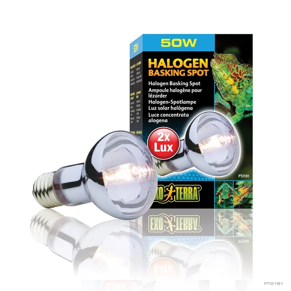Exo Terra Halogen Basking Spot