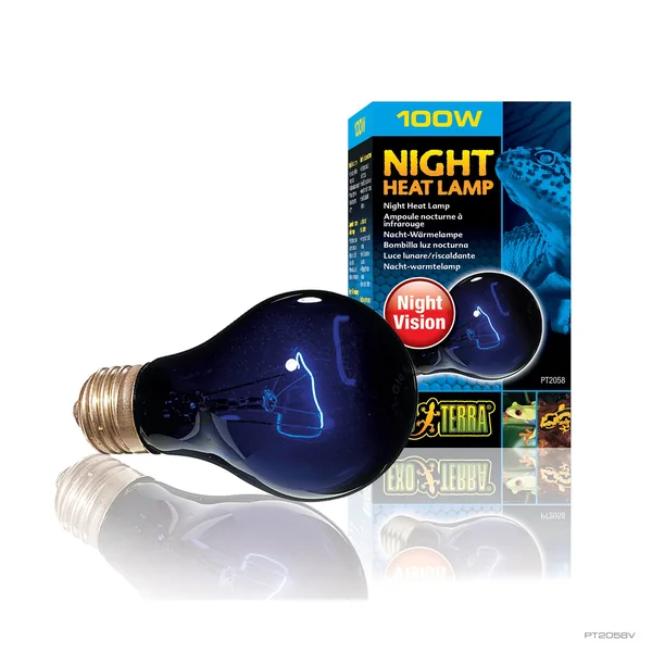 Exo Terra Night Heat Lamp