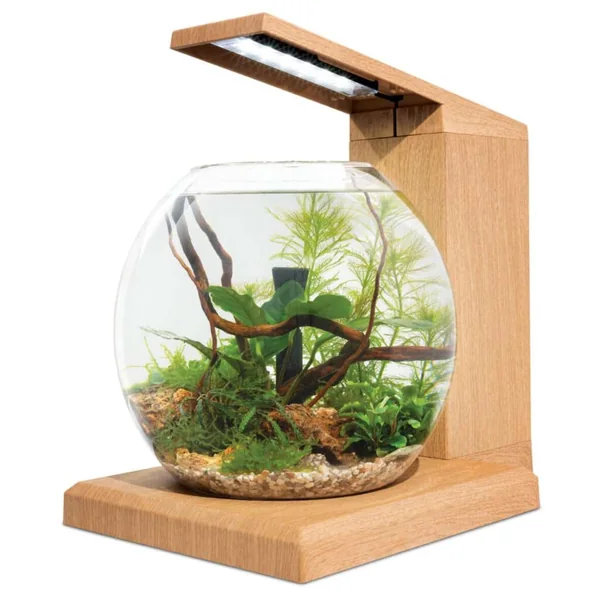 Fluval LIV Microscaping Aquario Kit, Teak Wood