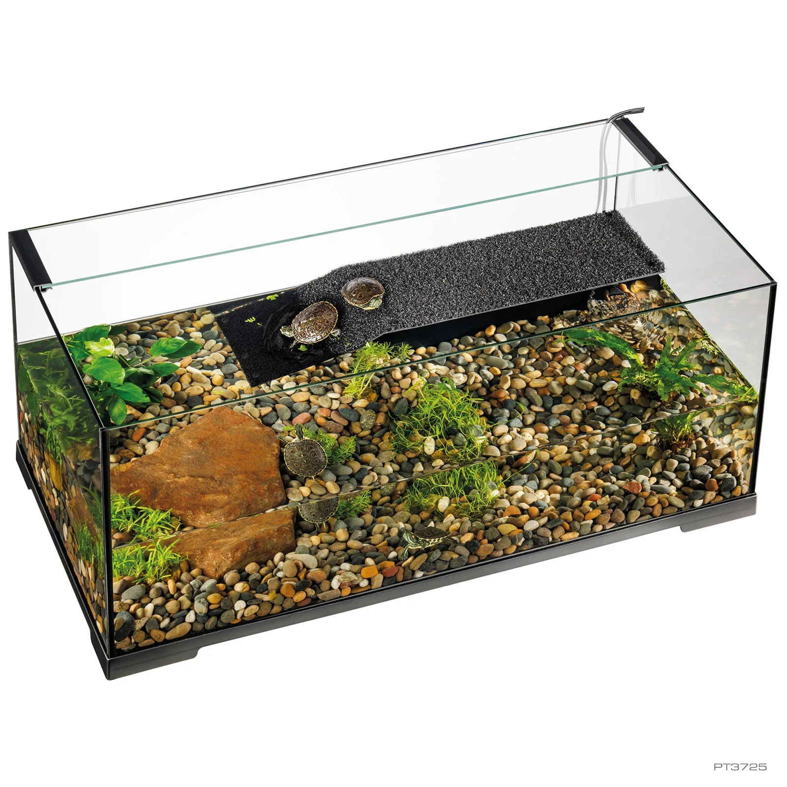 Kit para Tortuga Turtle Haven - Imagen 2