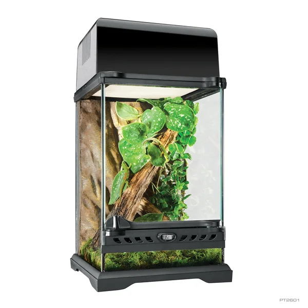 Natural Terrarium Nano Tall 20x20x30