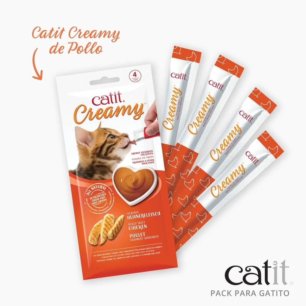 Pack para Gatitos Junior Catit - Imagen 2