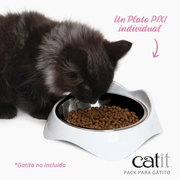 Pack para Gatitos Junior Catit