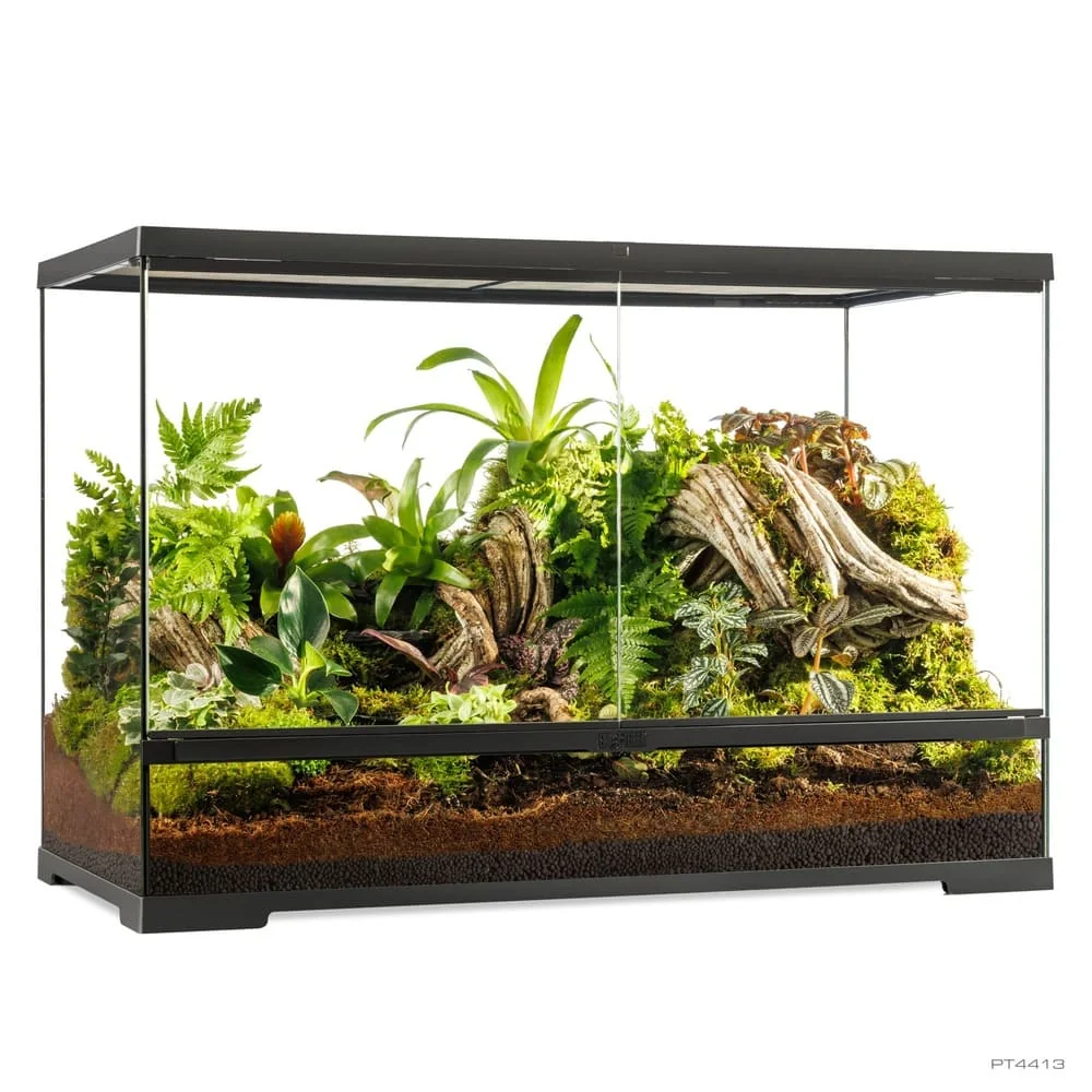 Pro Terrarium de Cristal Exo Terra Grande 90x45cm - Imagen 6