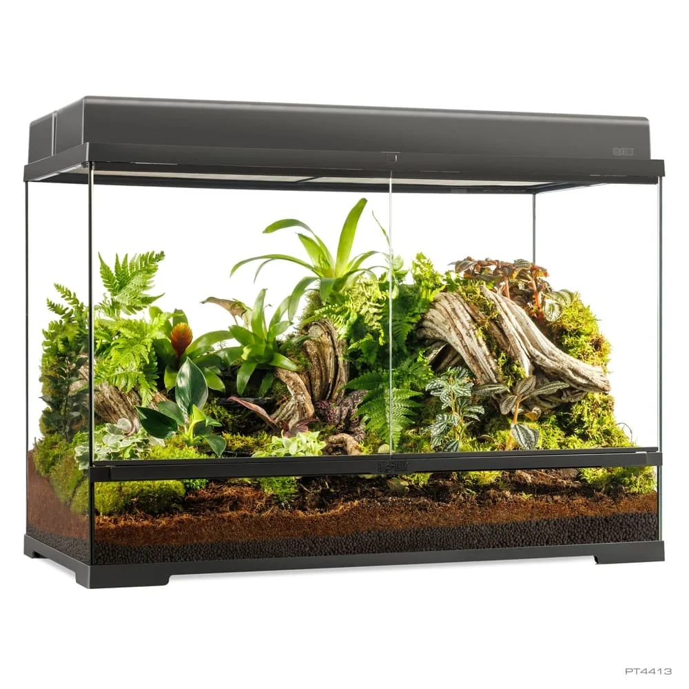 Pro Terrarium de Cristal Exo Terra Grande 90x45cm - Imagen 5