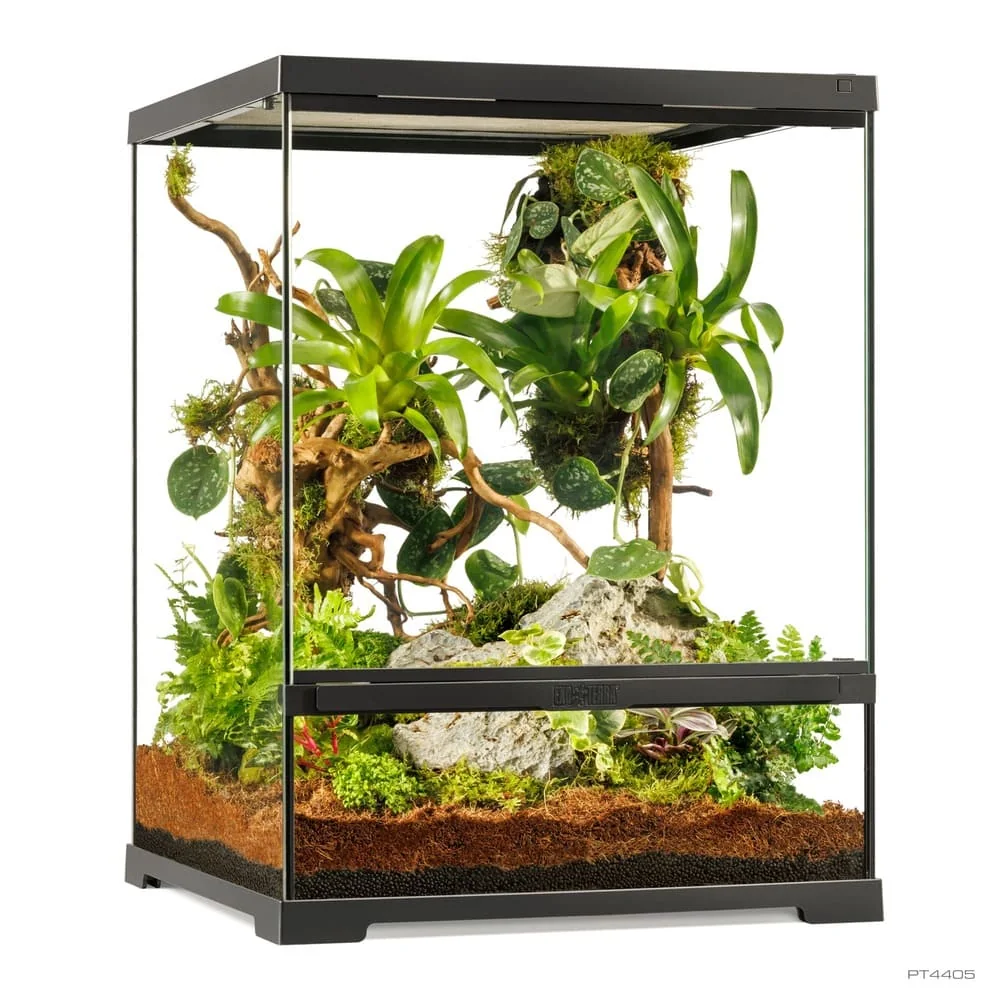 Pro Terrarium de Cristal Exo Terra Pequeño 45x45cm - Imagen 6