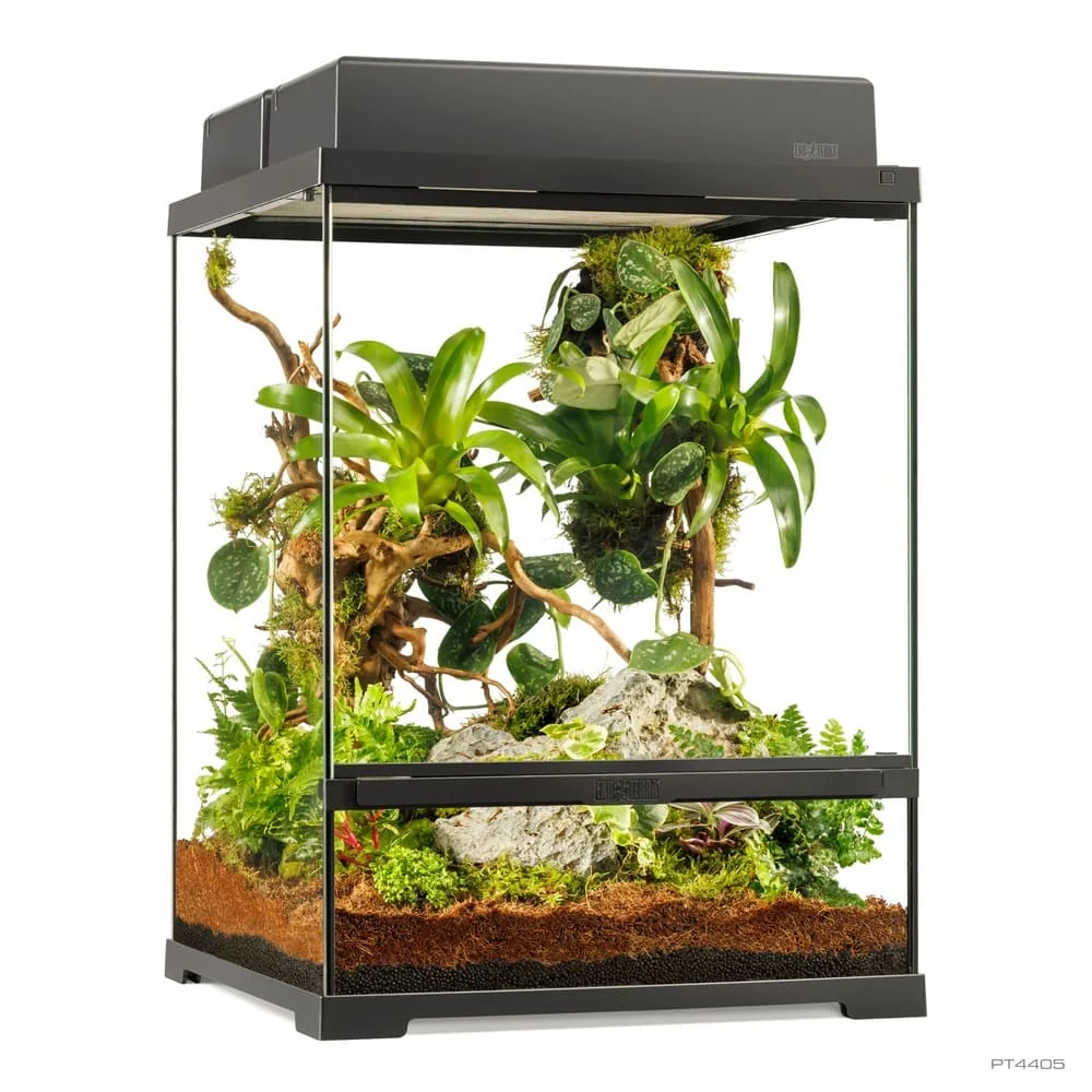 Pro Terrarium de Cristal Exo Terra Pequeño 45x45cm - Imagen 2
