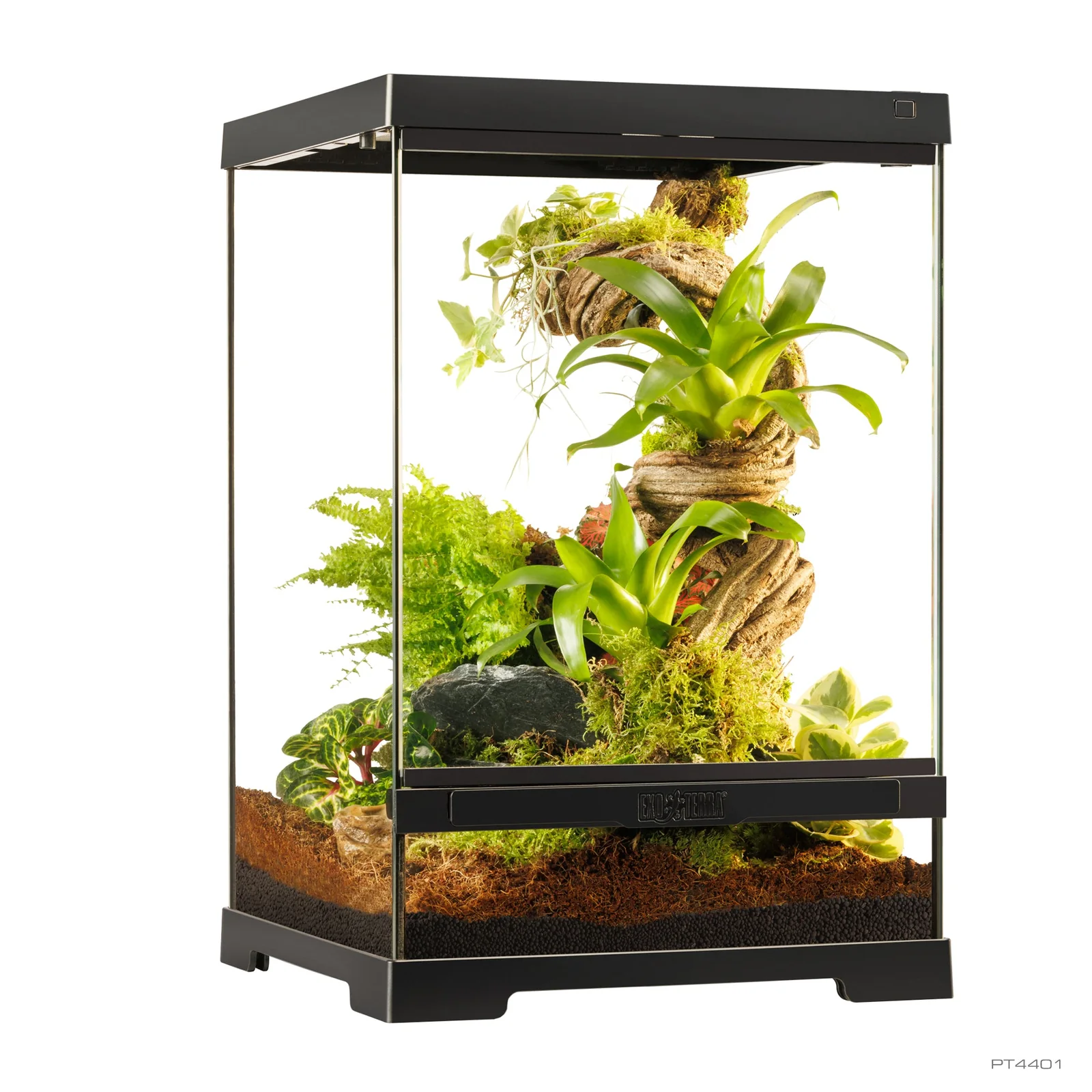 Pro Terrarium de Cristal Exo Terra XS 30x30cm - Imagen 2
