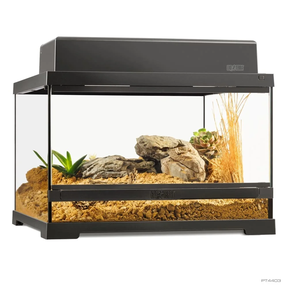Pro Terrarium Small Low 45x45x30 - Imagen 4