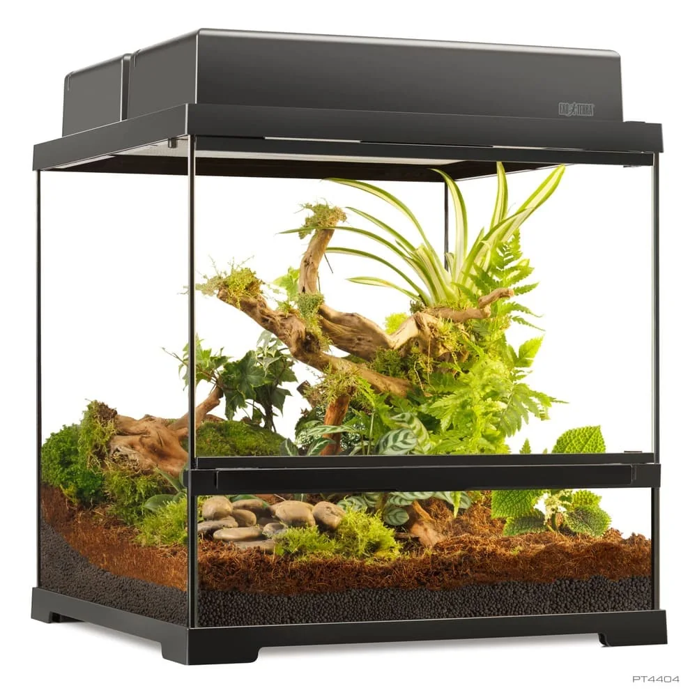 Pro Terrarium Small Wide 45x45x45 - Imagen 3