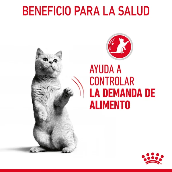 Royal Canin Appetite Control comida húmeda en salsa para el control del apetito en gato adulto 12 x 85 g