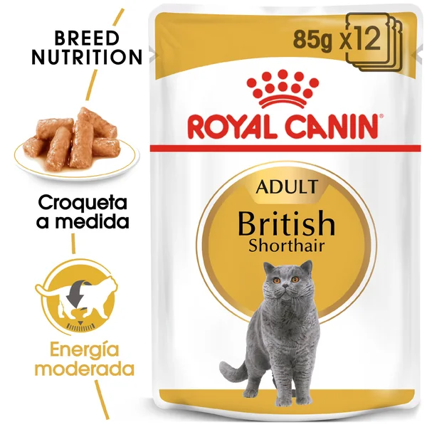 Royal Canin British Shorthair comida húmeda para gato adulto de raza 12 x 85 g