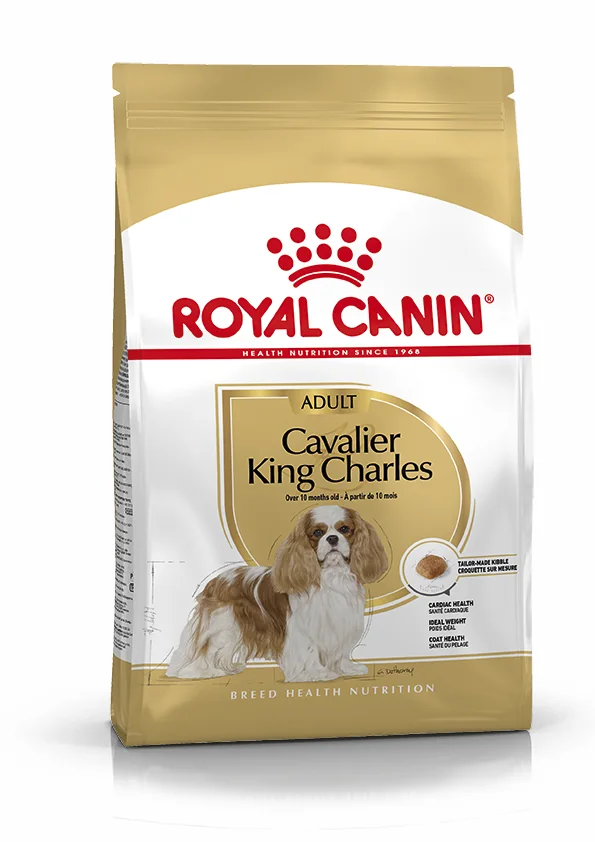 Royal Canin Cavalier king Charles Adult pienso para perro adulto spaniel 3 kg