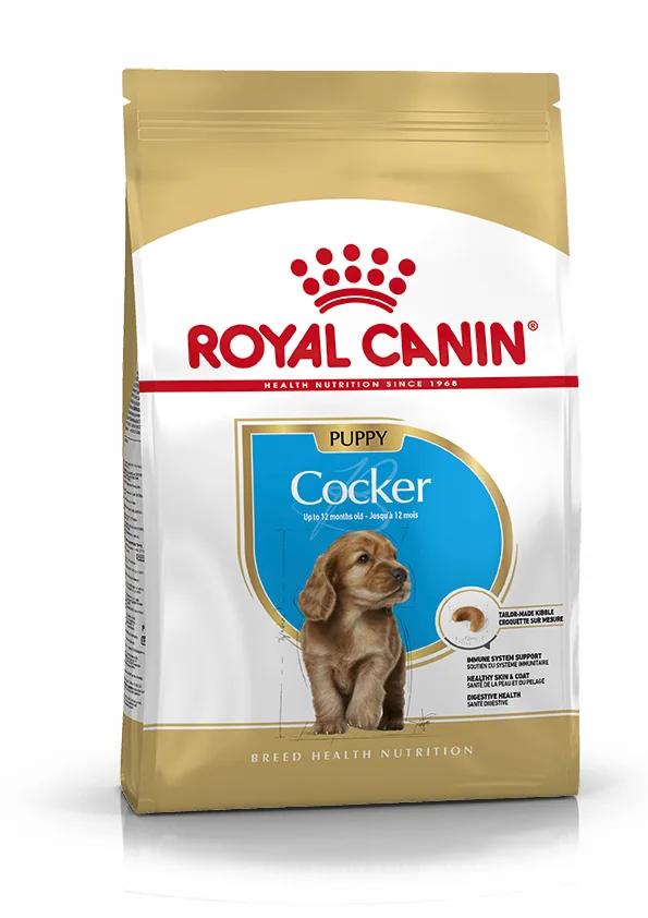 Royal Canin Cocker puppy pienso para cachorro de raza 3 kg