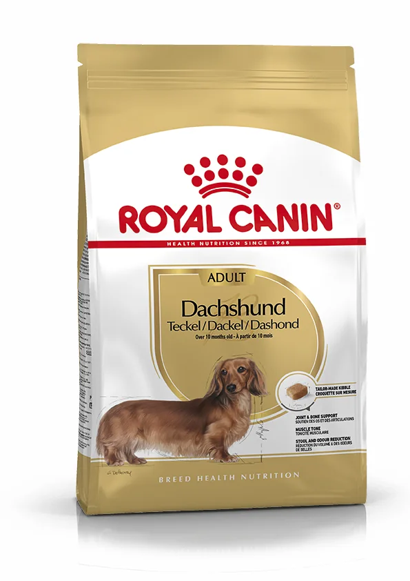 Royal Canin Dachsund Adult pienso para perro adulto teckel