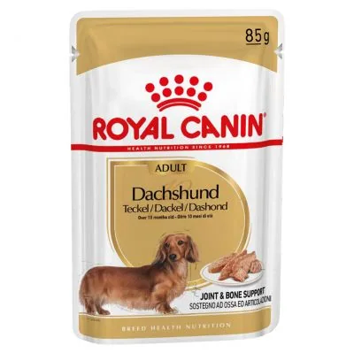 Royal Canin Dachsund comida húmeda para perro adulto salchicha 12 x 85 g