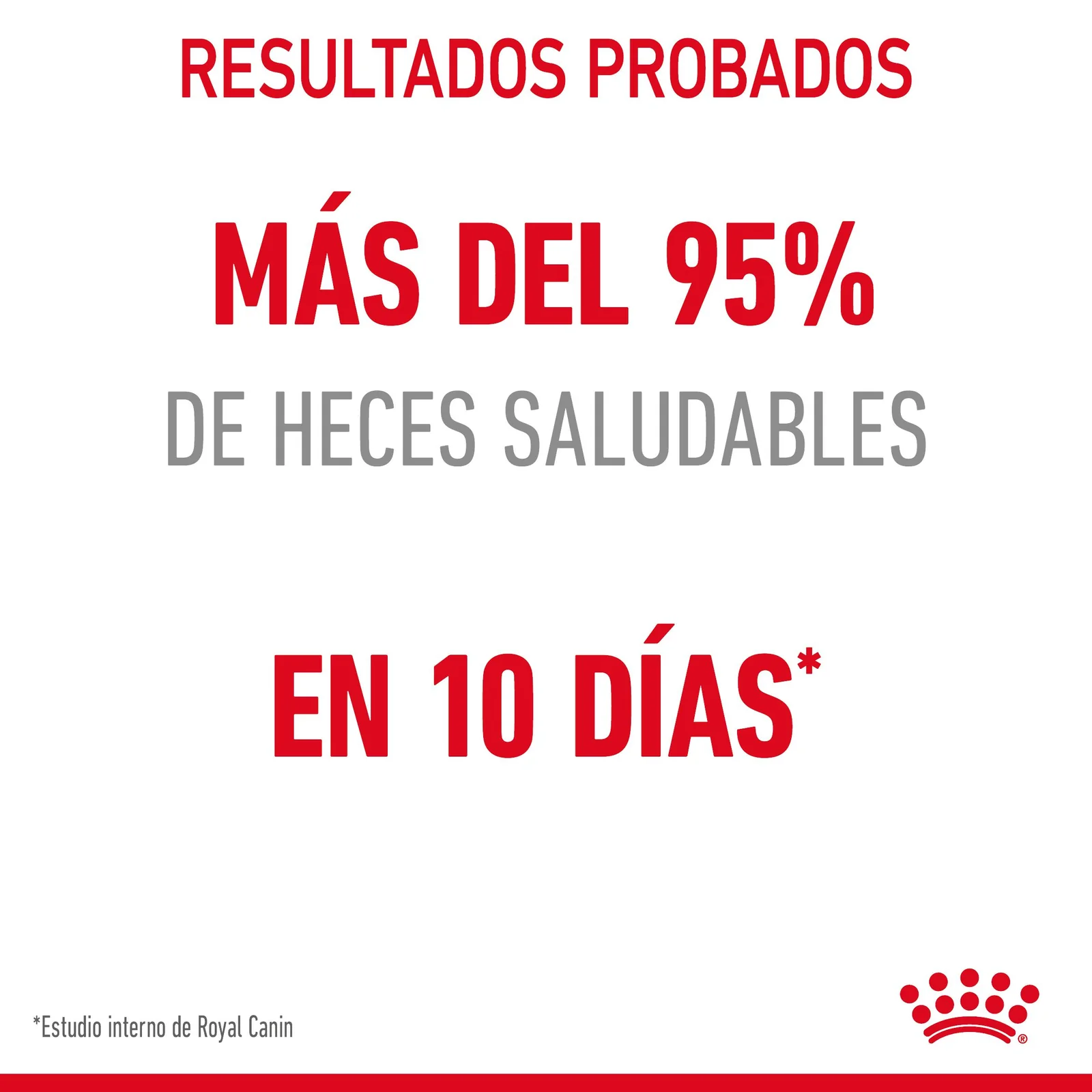 Royal Canin Digestive Care pienso de gato adulto con sensibilidad digestiva