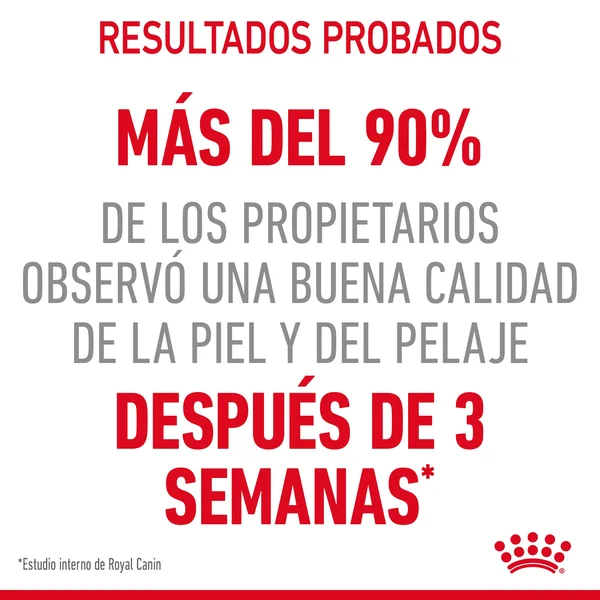 Royal Canin Hair&Skin Care pienso de gato adulto con piel y pelaje sensibles