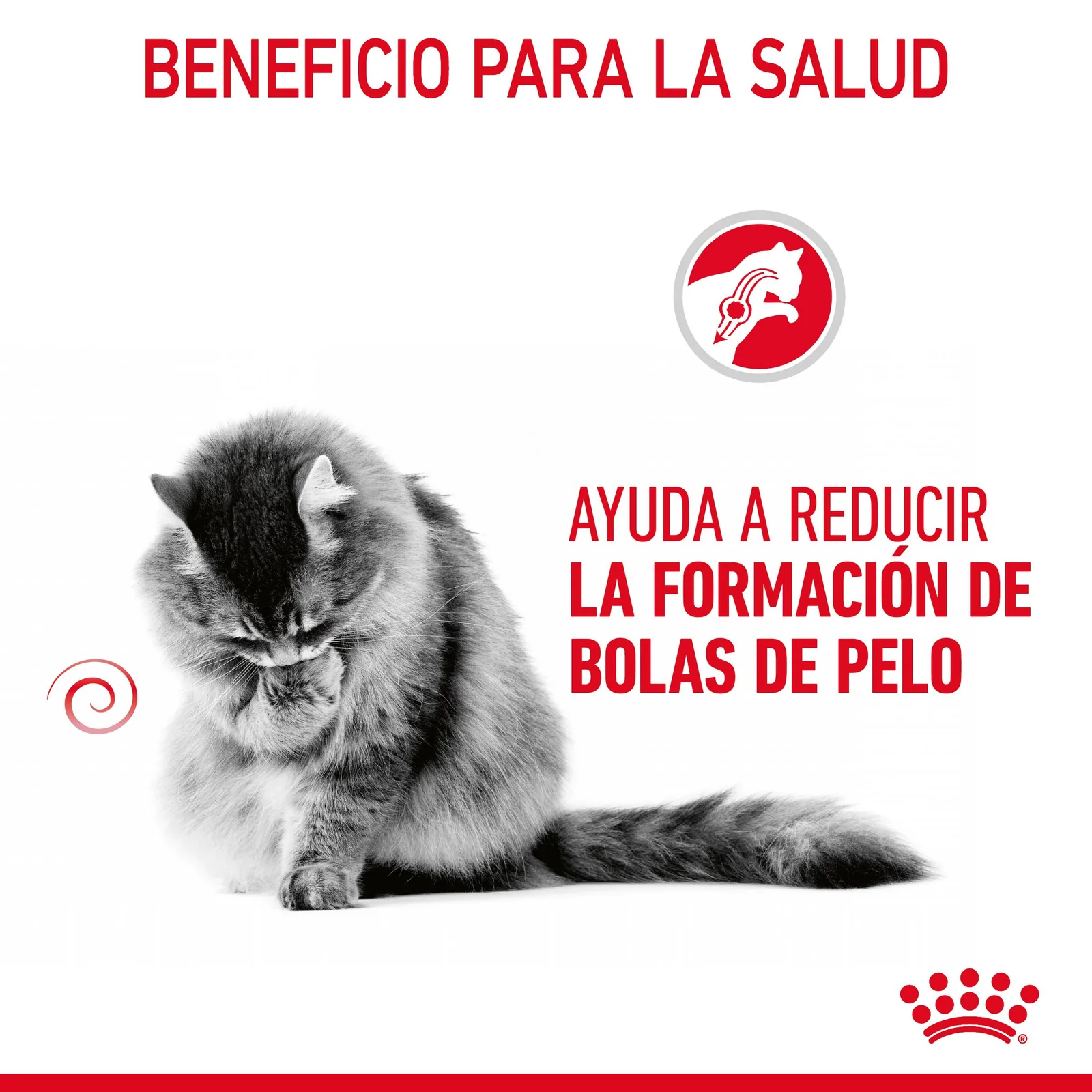 Royal Canin Hairball Care comida húmeda en salsa para el cuidado de las bolas de pelo en gato adulto 12 x 85 g