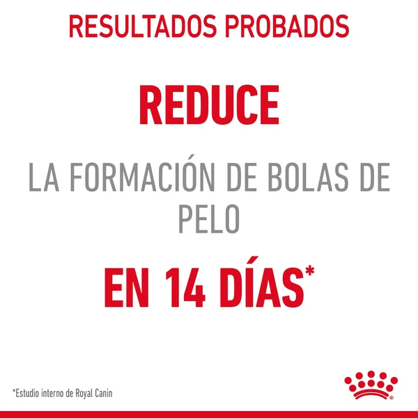 Royal Canin Hairball Care pienso de gato adulto para el control de las bolas de pelo