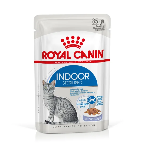 Royal Canin Indoor comida húmeda en gelatina para gato adulto de interior 12 x 85 g