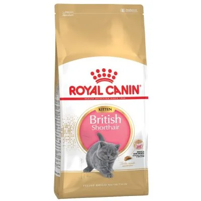 Royal Canin Kitten British Shorthair pienso para gatito de raza 2 kg