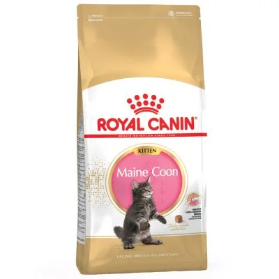 Royal Canin Kitten Maine Coon pienso para gatito de raza