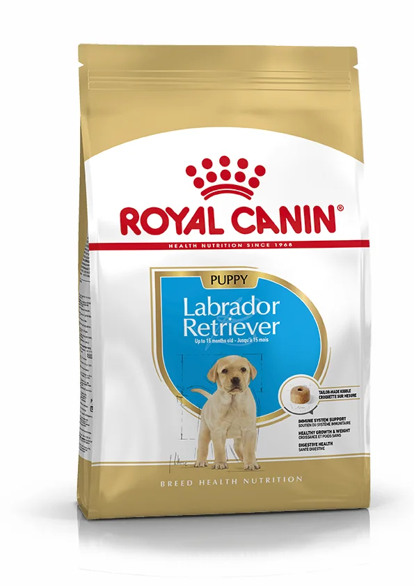 Royal Canin Labrador Retriever Puppy pienso para cachorro de raza