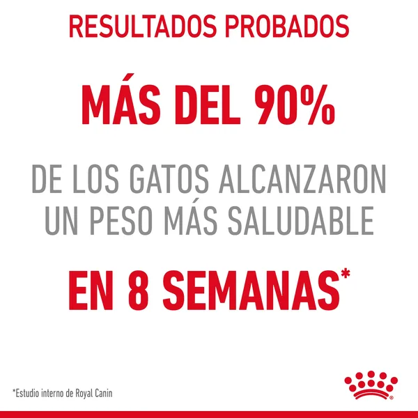Royal Canin Light Weight Care pienso de gato adulto para el control de peso