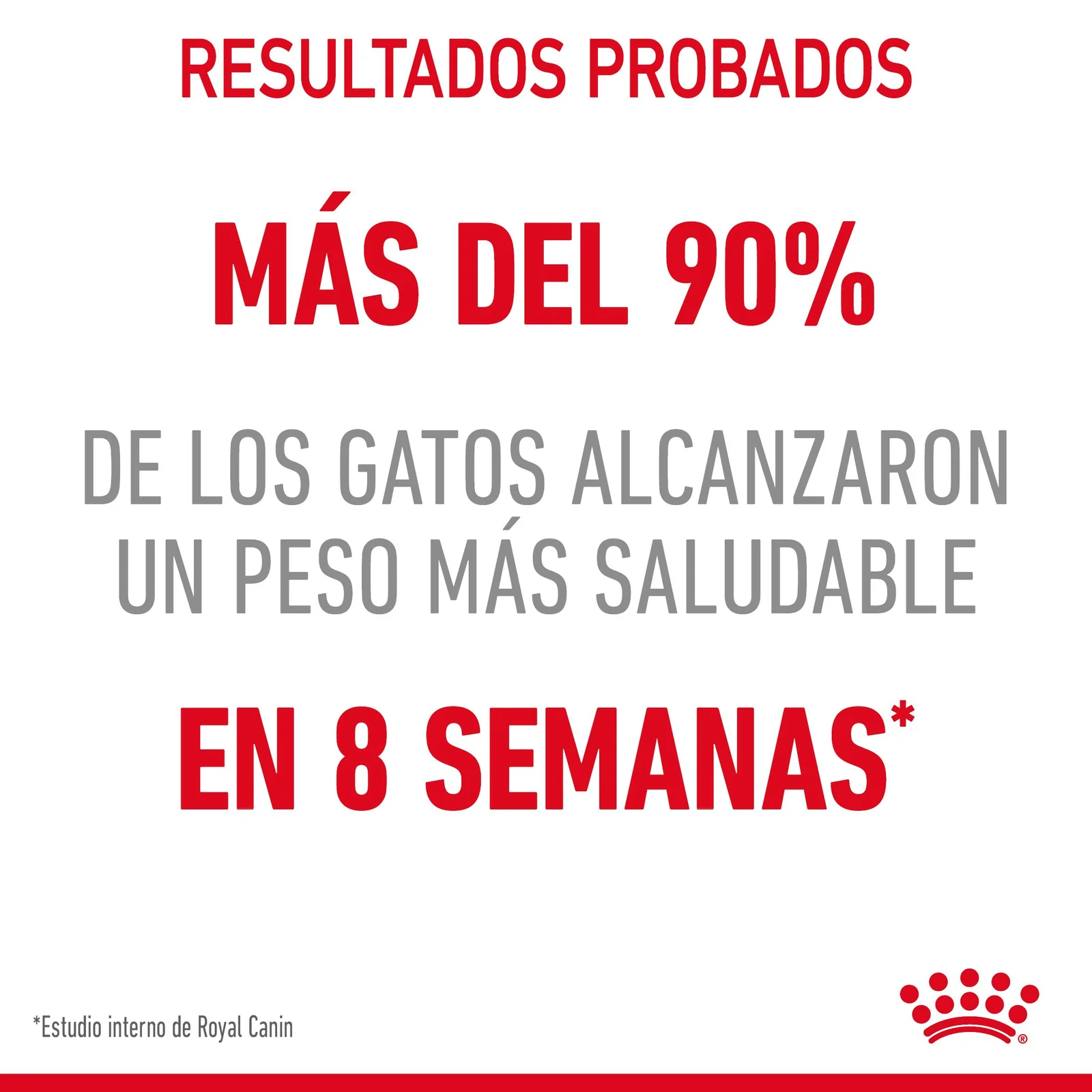 Royal Canin Light Weight Care pienso de gato adulto para el control de peso
