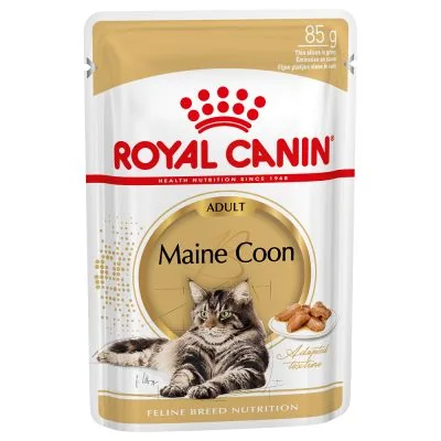 Royal Canin Maine Coon comida húmeda para gato adulto de raza 12 x 85 g