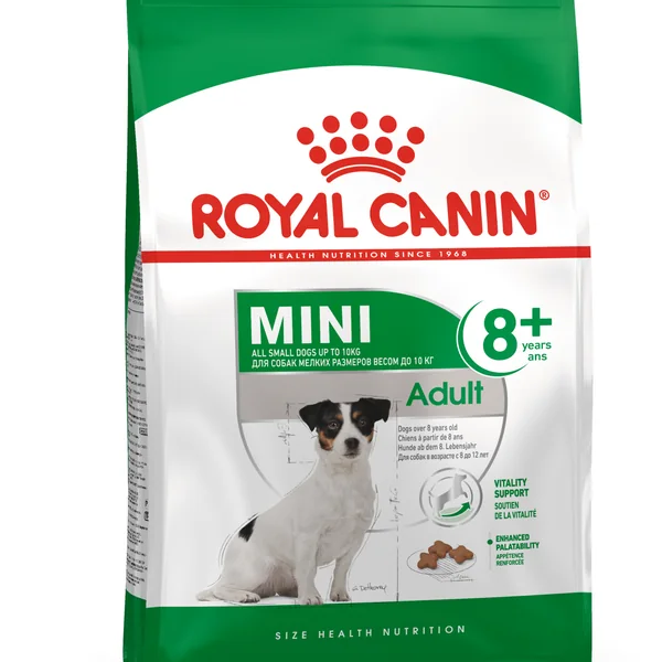 Royal Canin Mini Adult 8+ pienso para perro sénior de razas tamaño pequeña