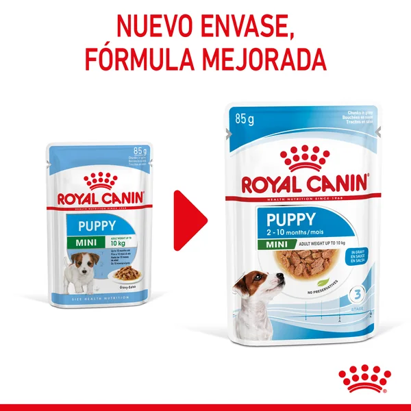 Royal Canin Mini Puppy comida húmeda para cachorro de razas tamaño pequeno 12 x 85 g