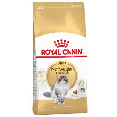 Royal Canin Norweigan Forest pienso para gato adulto Bosque de Noruega
