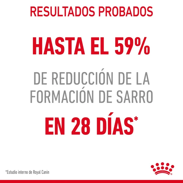 Royal Canin Oral Care pienso de gato adulto con sensibilidad bucal