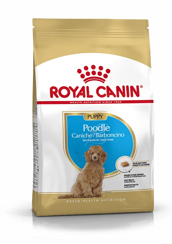 Royal Canin Poodle Puppy pienso para cachorro caniche 3 kg