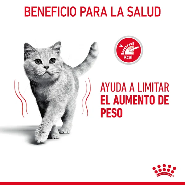 Royal Canin Ultra Light comida húmeda en gelatina para el control de peso en gato adulto 12 x 85 g