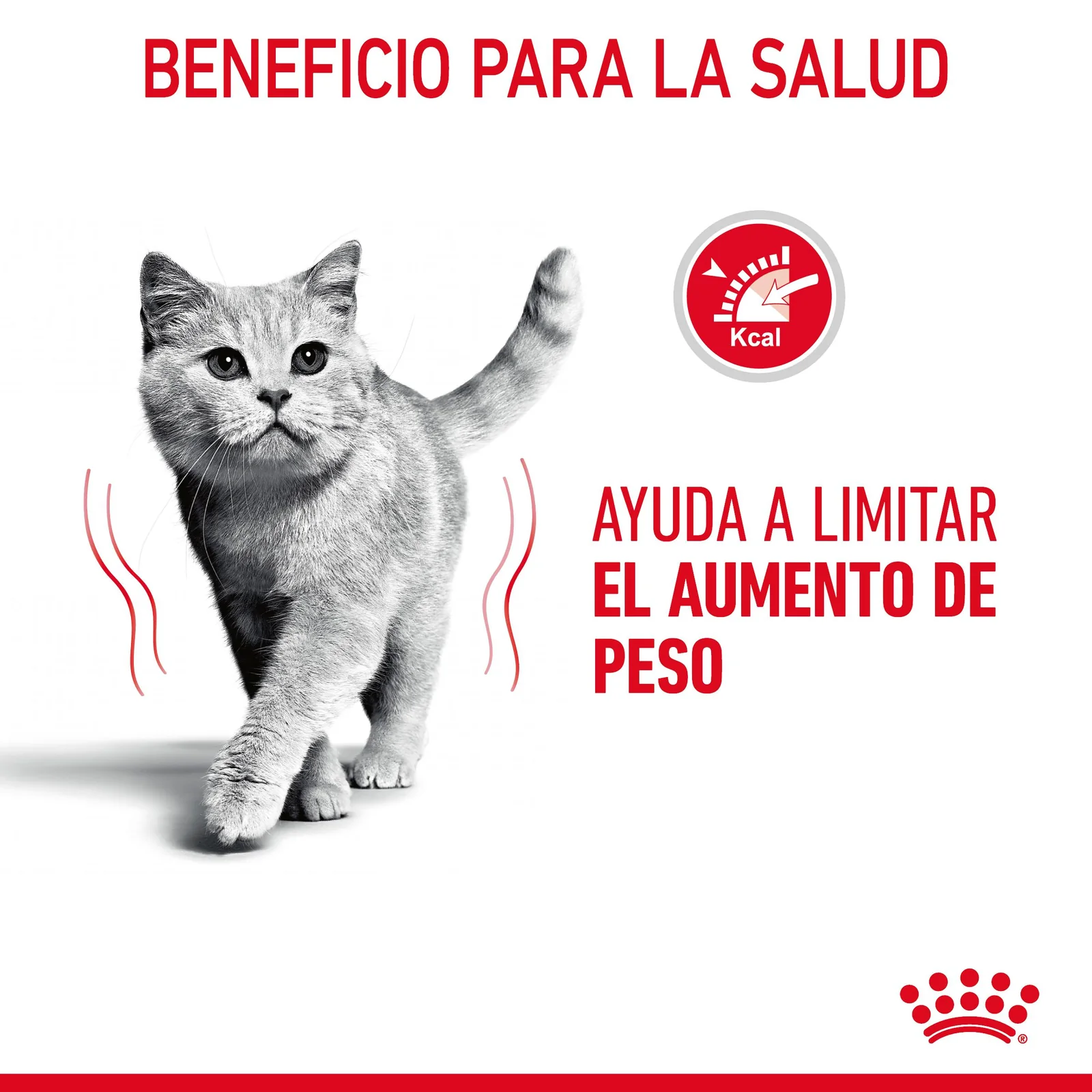 Royal Canin Ultra Light comida húmeda en gelatina para el control de peso en gato adulto 12 x 85 g