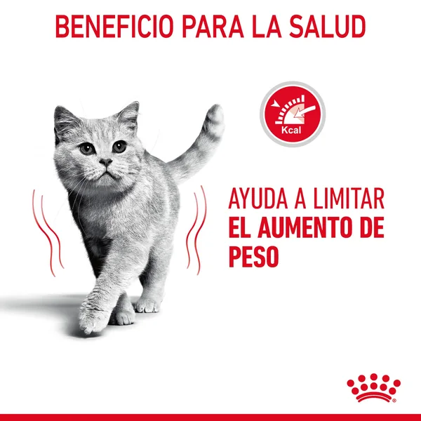 Royal Canin Ultra Light comida húmeda en salsa parael control de peso en gato adulto 12 x 85 g