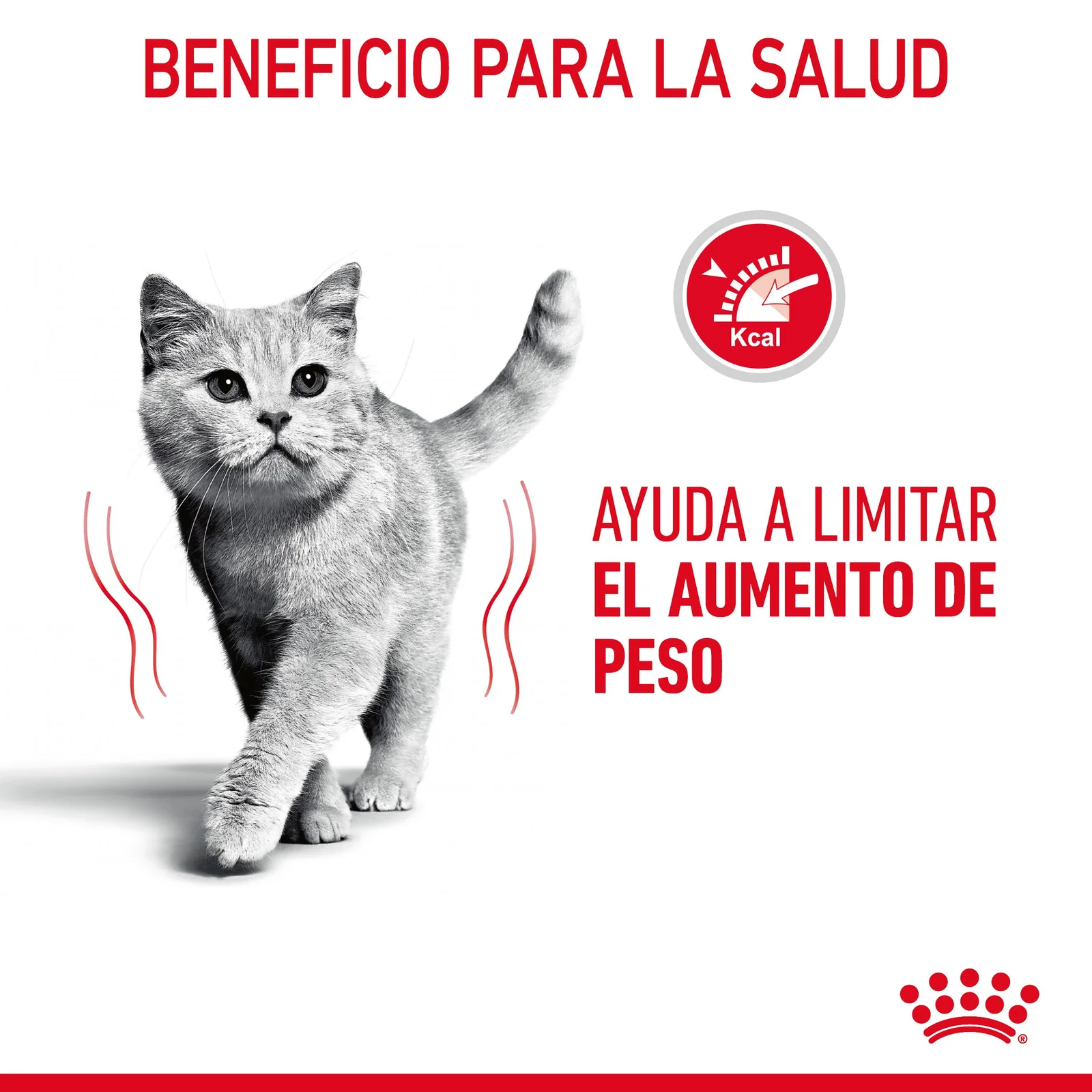 Royal Canin Ultra Light comida húmeda en salsa parael control de peso en gato adulto 12 x 85 g