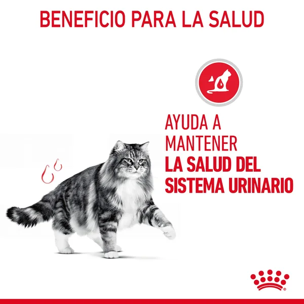 Royal Canin Urinary Care comida húmeda en salsa para el cuidado urinario en gato adulto 12 x 85 g