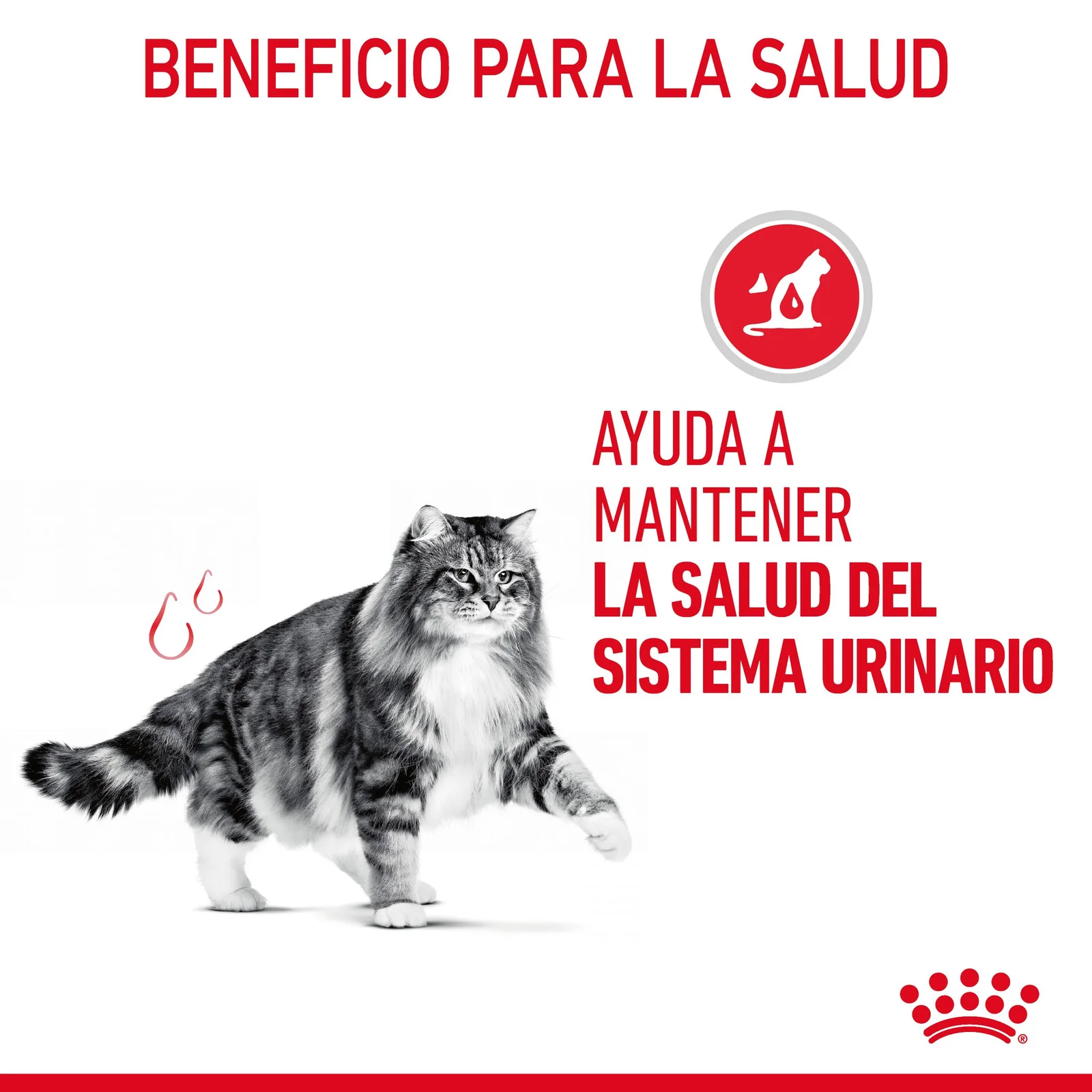 Royal Canin Urinary Care comida húmeda en salsa para el cuidado urinario en gato adulto 12 x 85 g