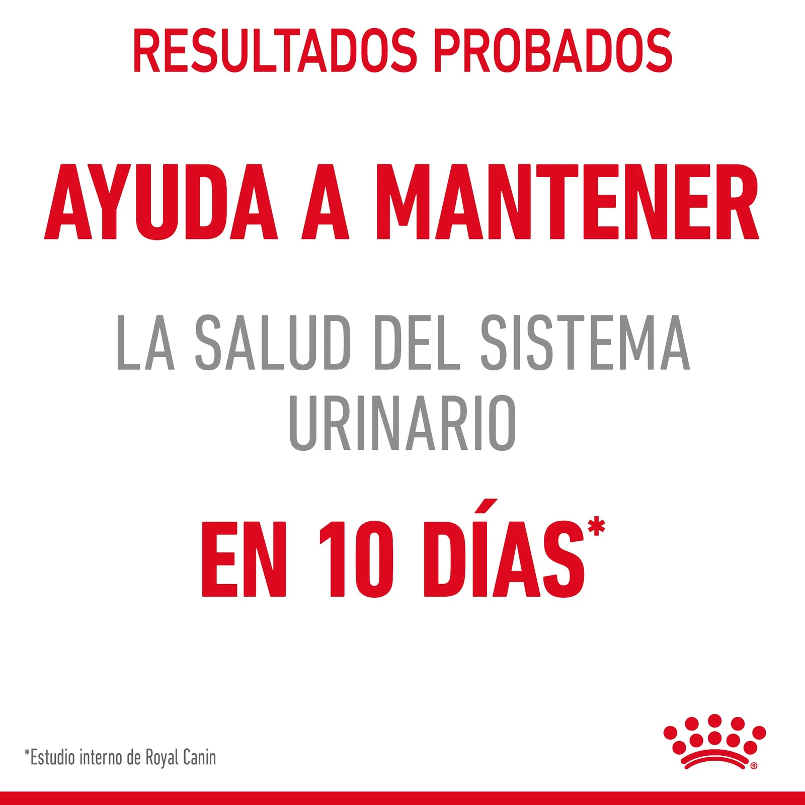 Royal Canin Urinary Care pienso de gato adulto con sensibilidades urinarias